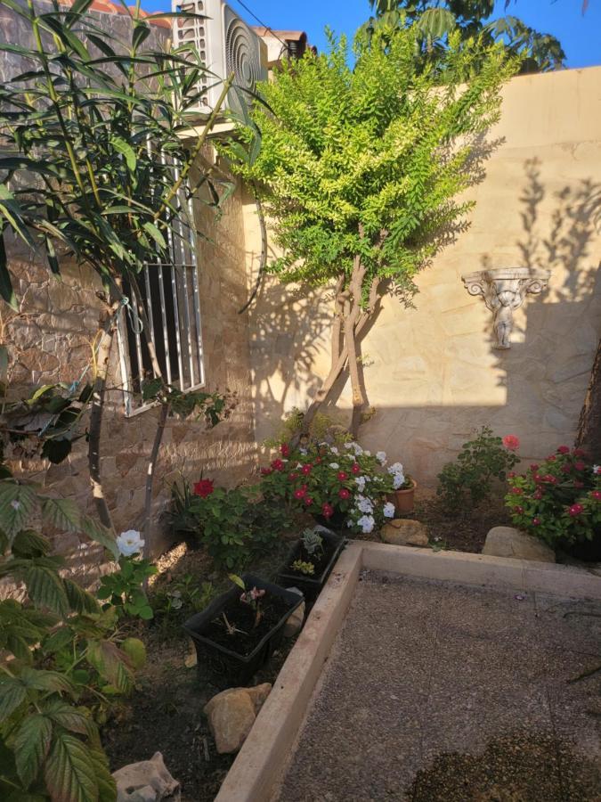 מלון אלביר La Casa De Irina מראה חיצוני תמונה